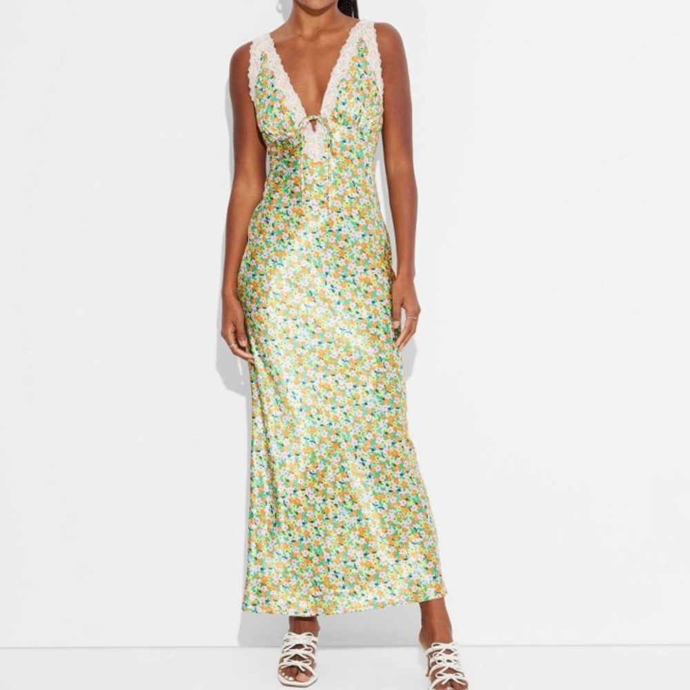 Wild Fable dress